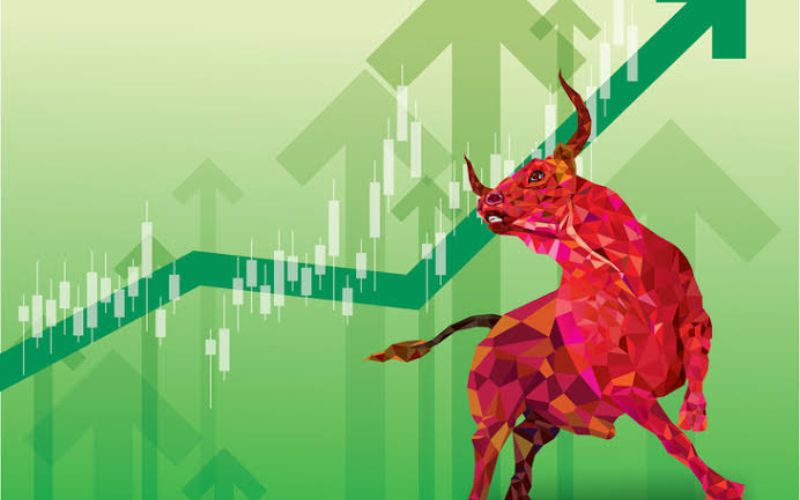 Bullish là gì?
