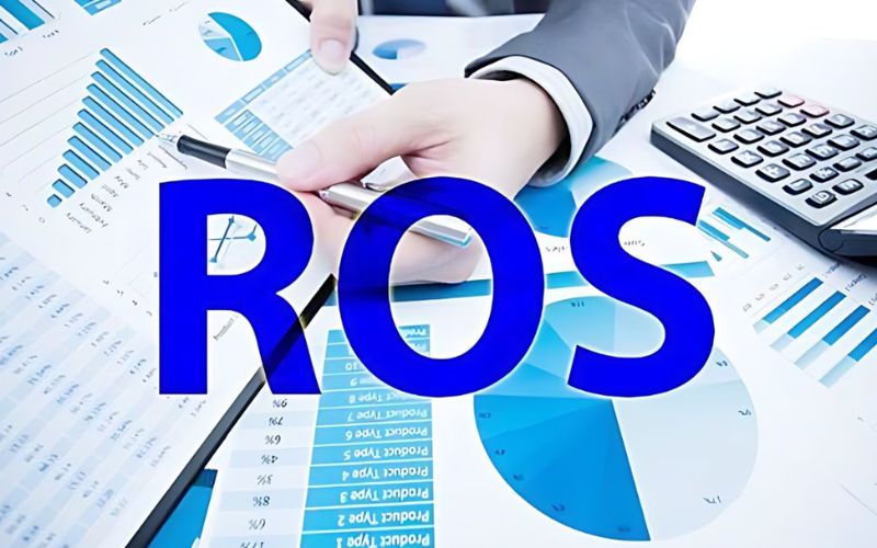 Chỉ số ROS bao nhiêu là tốt? Thống kê các nhóm ngành tại Việt Nam