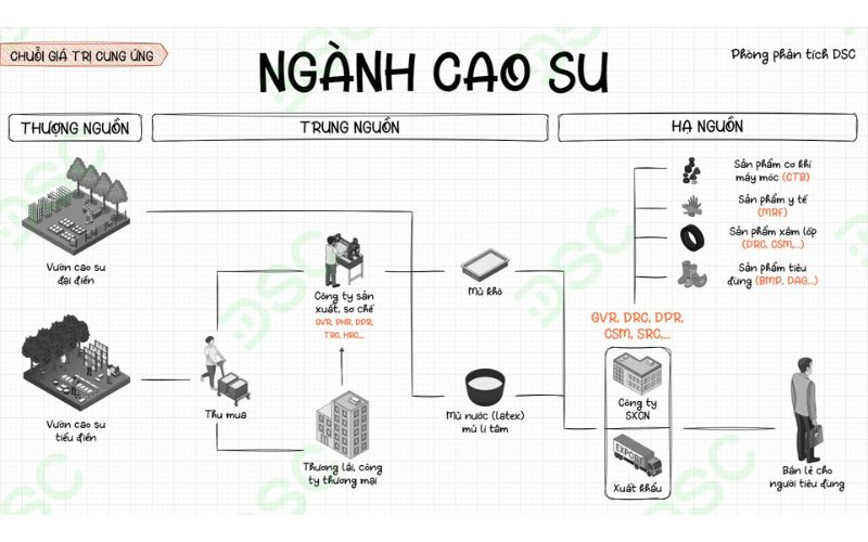 Phân tích chi tiết chuỗi giá trị ngành cao su