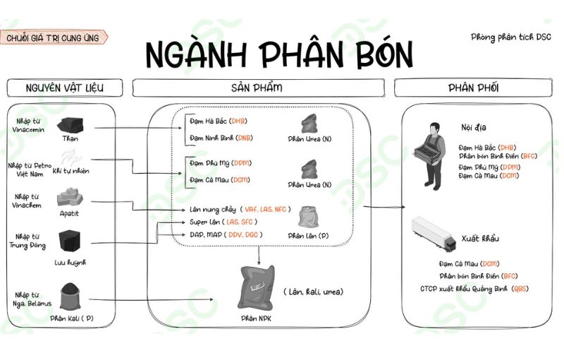 Chuỗi giá trị ngành phân bón Việt Nam