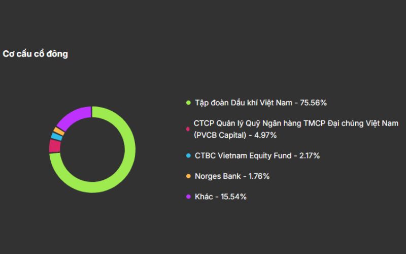 Cơ cấu cổ đông DCM