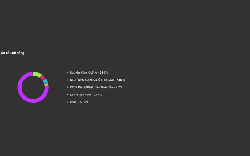 Cơ cấu cổ đông DIG