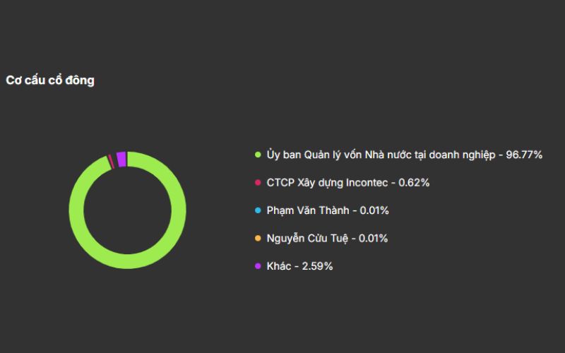 Cơ cấu cổ đông GVR