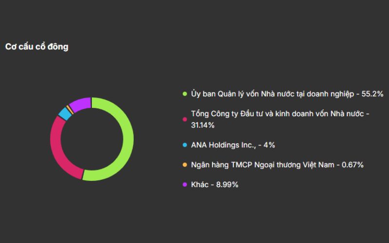 Cơ cấu cổ đông HVN