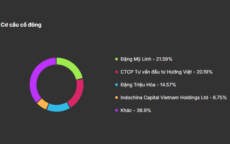 Cơ cấu cổ đông STK