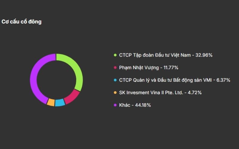 Cơ cấu cổ đông VIC