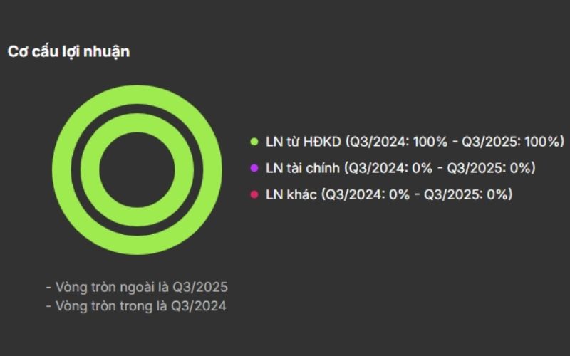 Cơ cấu lợi nhuận BCM