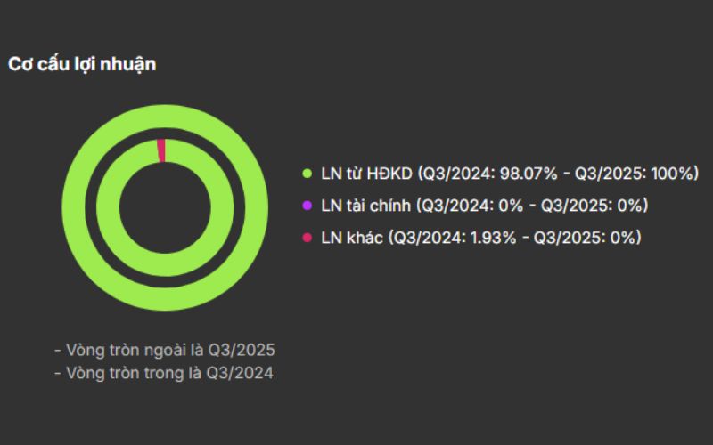 Cơ cấu lợi nhuận BMP