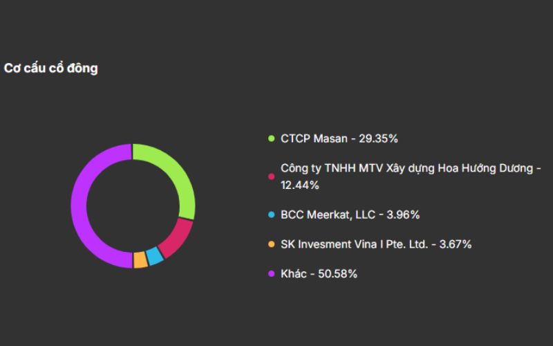 Cơ cấu lợi nhuận FPT