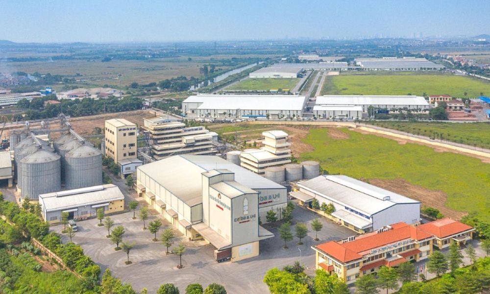 Có nên mua cổ phiếu DBC: Triển vọng chu kỳ ngành chăn nuôi