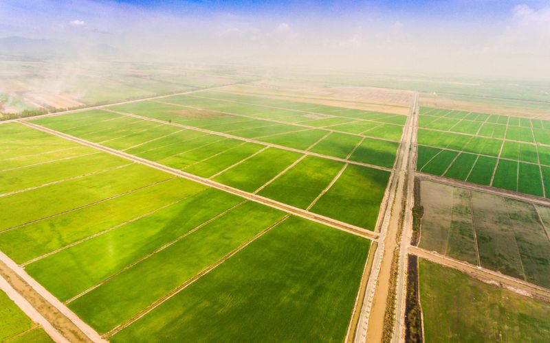 Rủi ro cần lưu ý khi đầu tư cổ phiếu TAR