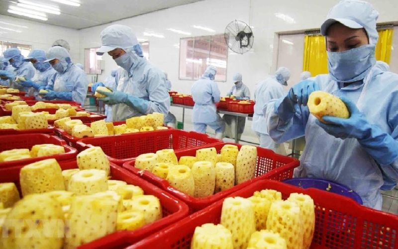 Những rủi ro cần lưu ý khi đầu tư cổ phiếu thực phẩm