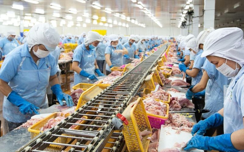 Toàn cảnh ngành thủy sản Việt Nam