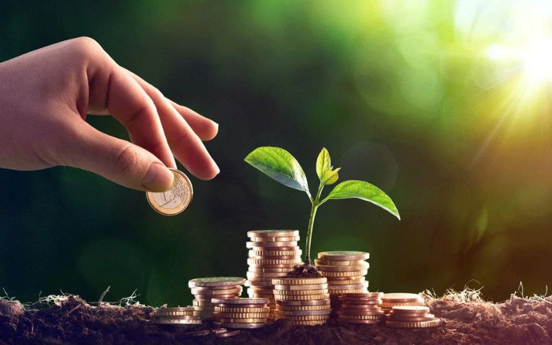 Quy trình nhận cổ tức và các mốc thời gian quan trọng