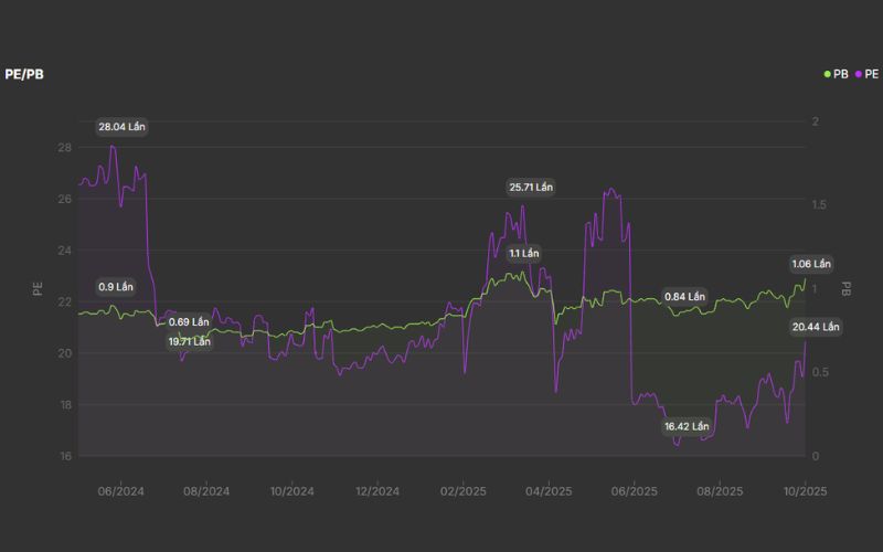 Định giá cổ phiếu CTD