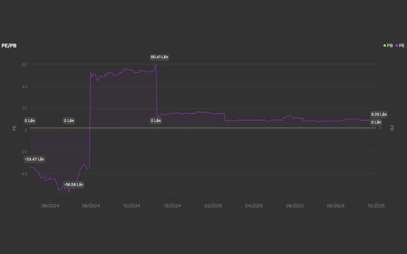 Định giá cổ phiếu HVN