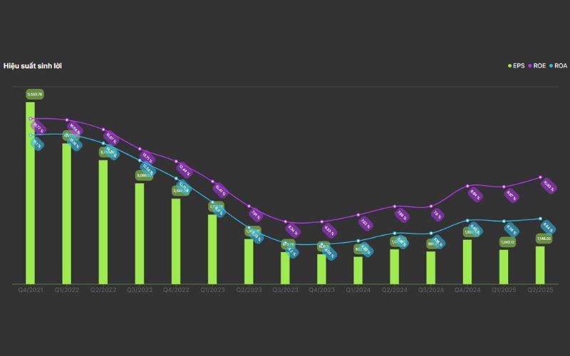 Hiệu quả sinh lời VSC