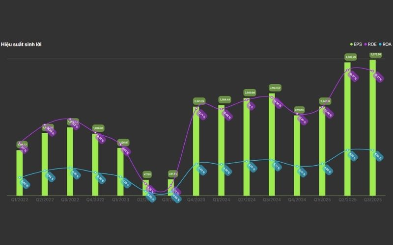 Hiệu quả sinh lời BCM