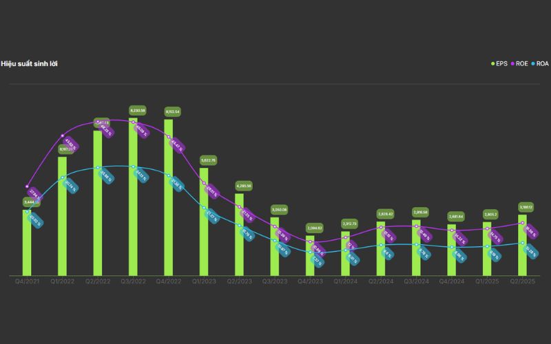 Hiệu suất sinh lời DCM