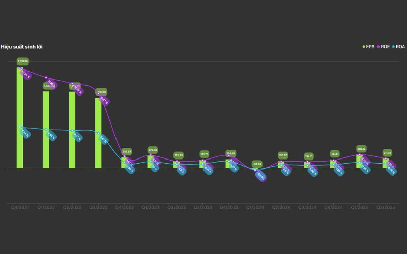 Hiệu quả sinh lời DIG