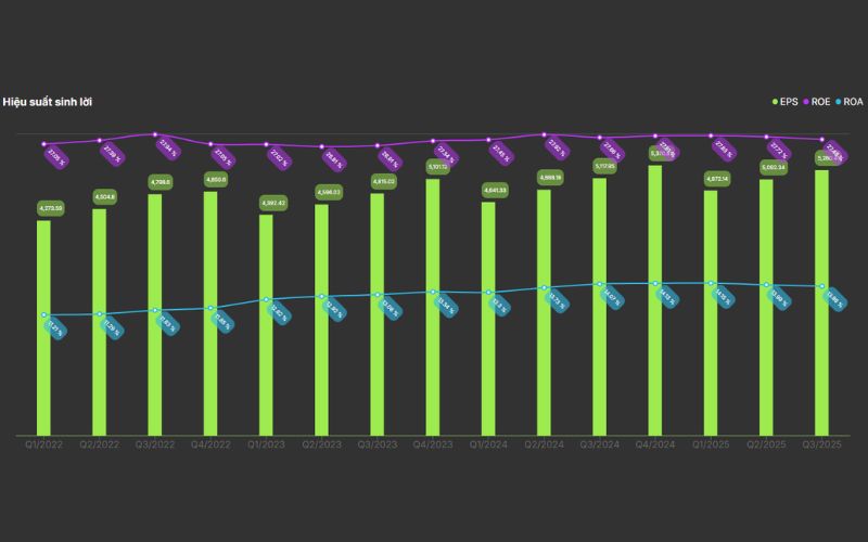 Hiệu quả sinh lời FPT