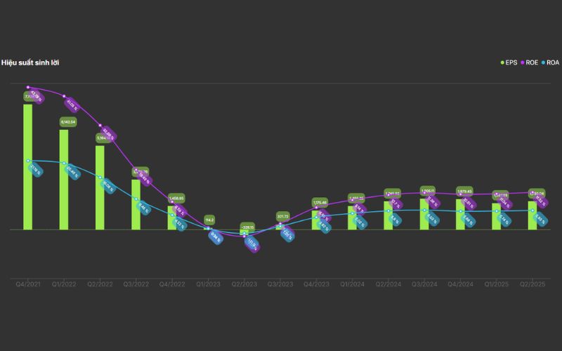 Hiệu quả sinh lời của cổ phiếu HPG