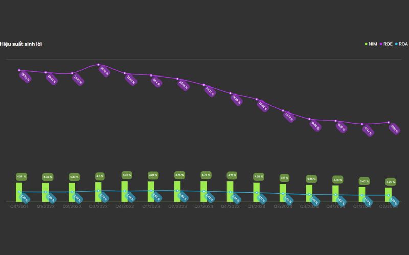 Hiệu quả sinh lời VIB