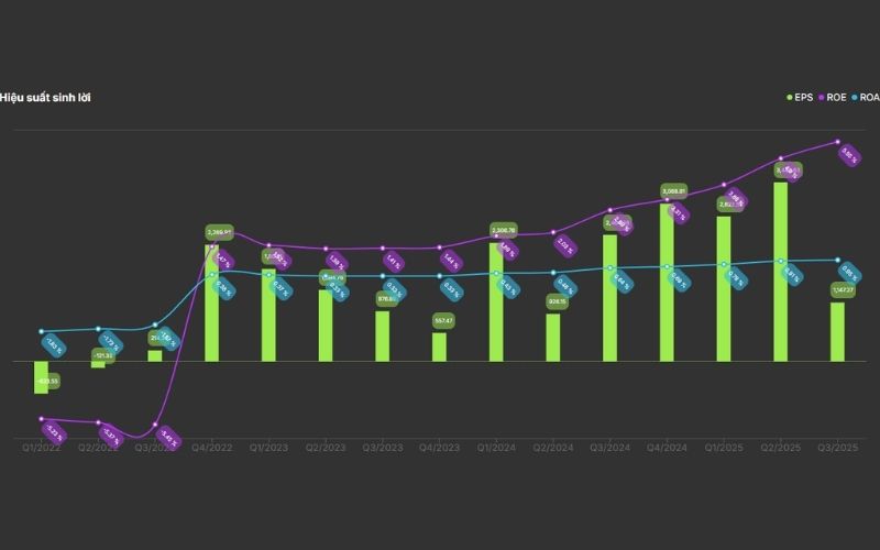 Hiệu quả sinh lời VIC