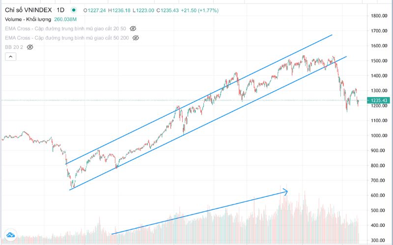 Đánh giá thị trường chung