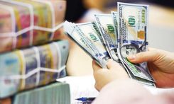 Dự trữ ngoại hối là gì? Vai trò, lịch sử và ứng dụng trong đầu tư