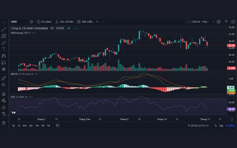 tong-quan-co-phieu-gmd.jpg